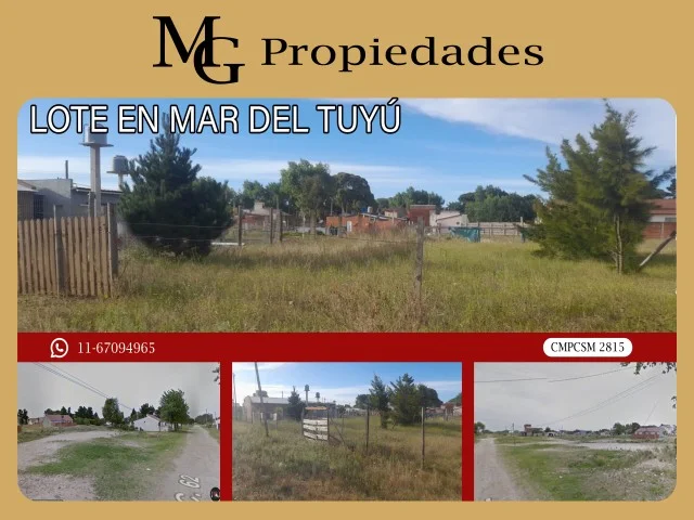 CALLE N 62 — CALLE N 62