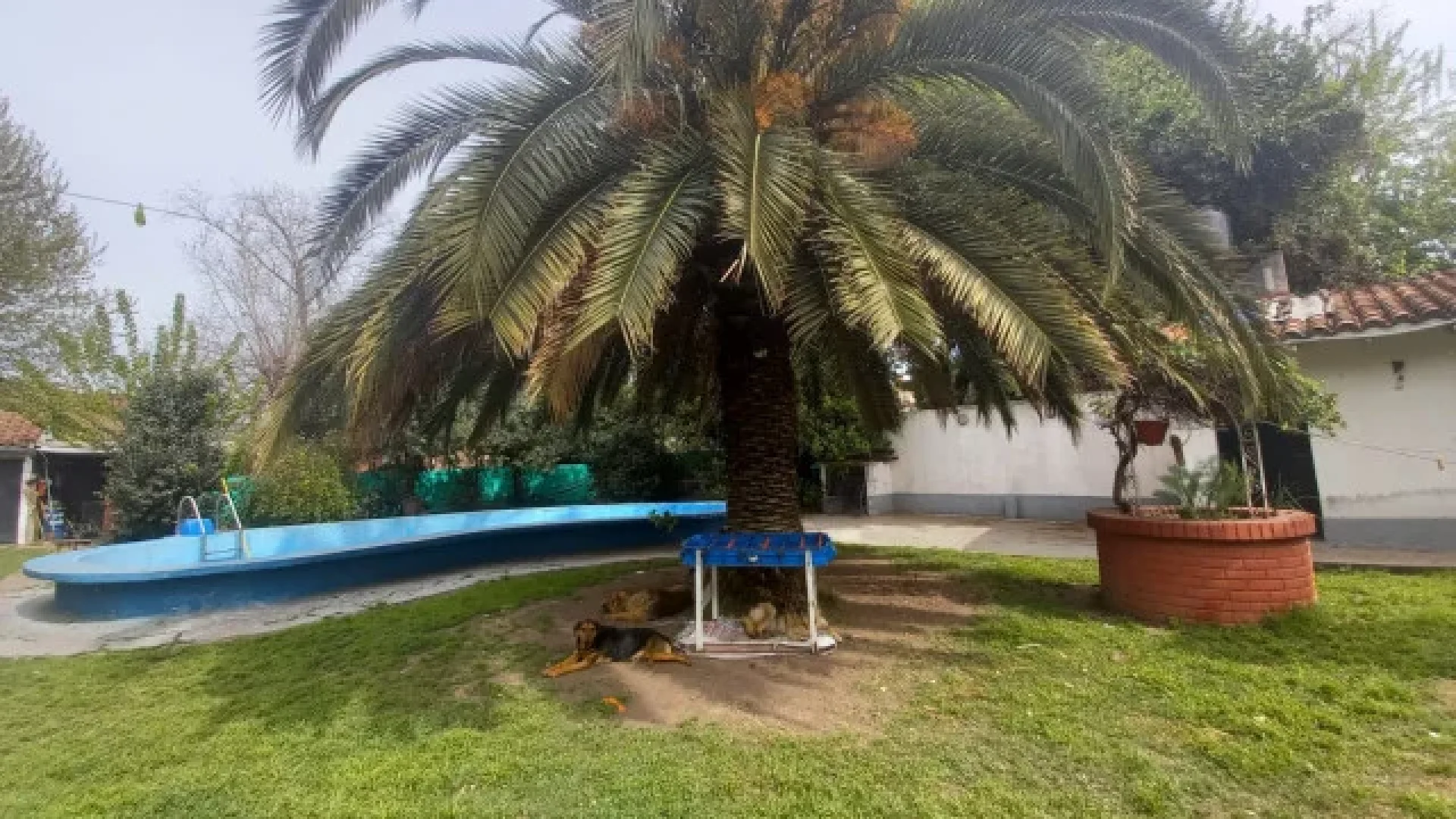 RICARDO GUTIERREZ 10740 – foto 4