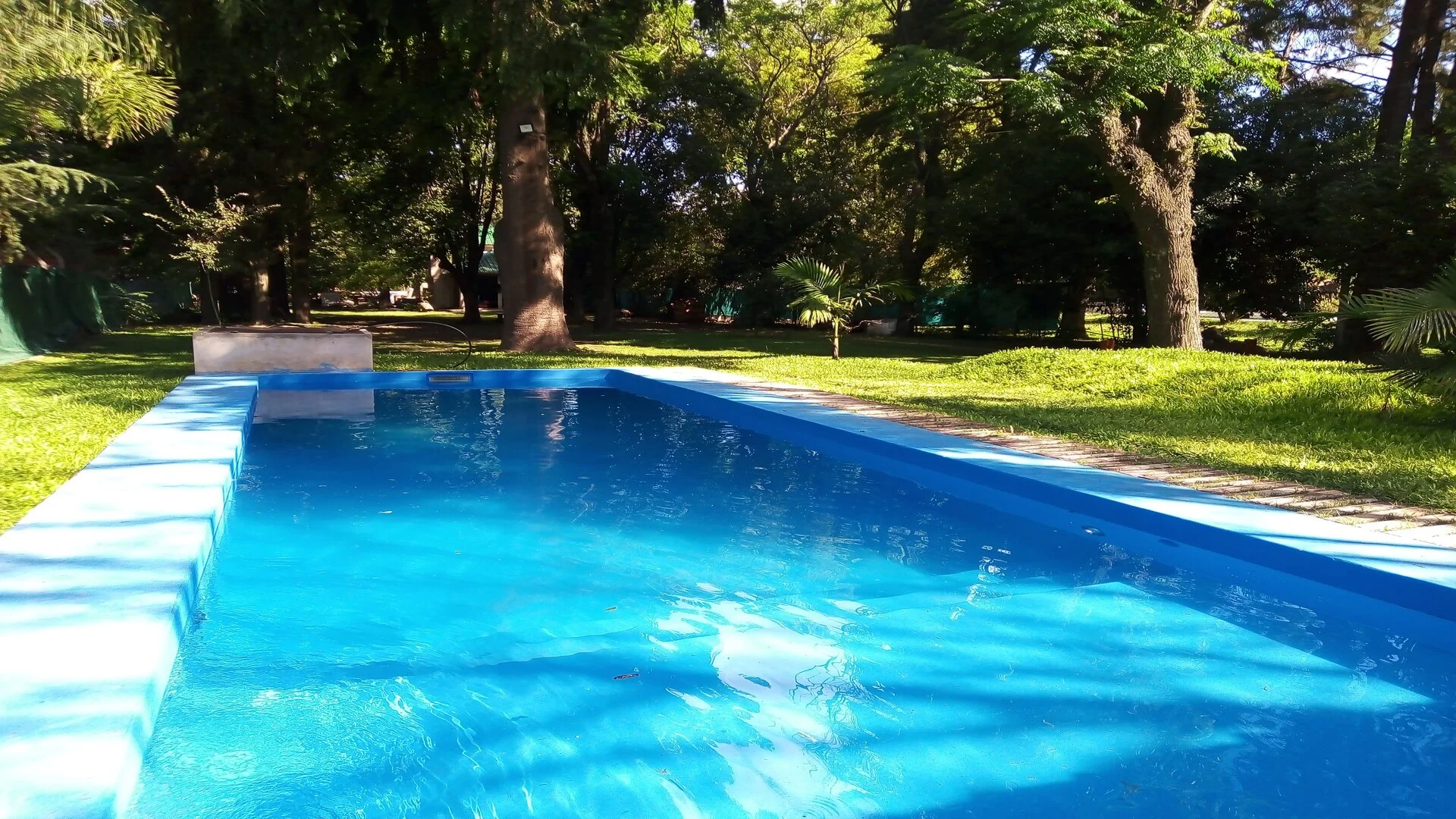 JUAN JOSE PASO 5875 – foto 5