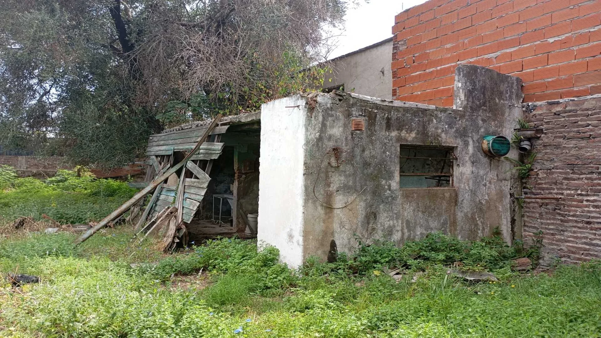 JOSE MORGANTI 9039 – foto 2