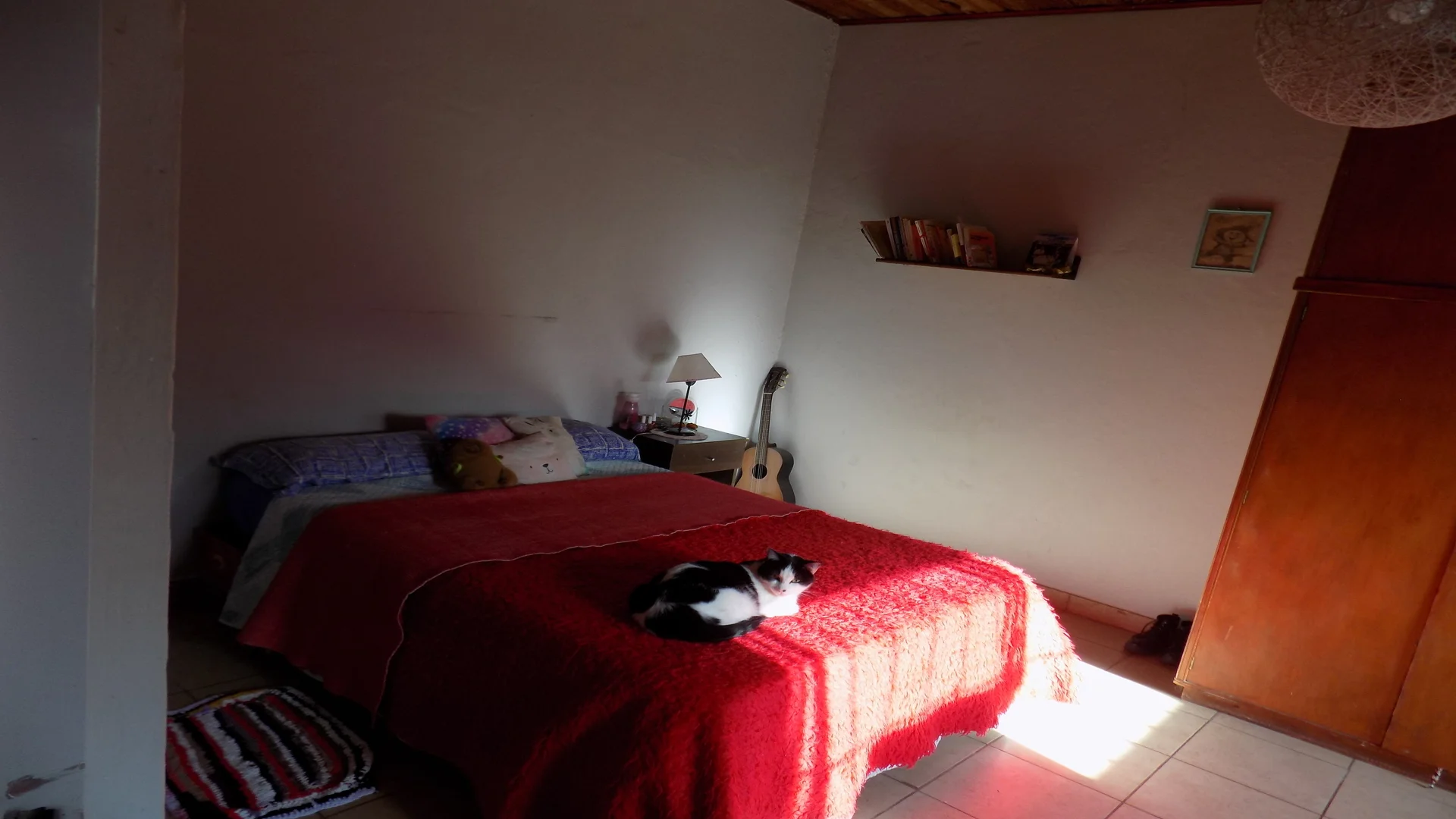 PAULA ALBARRACIN 1736 – foto 5