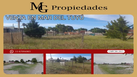 CALLE N 62 — CALLE N 62