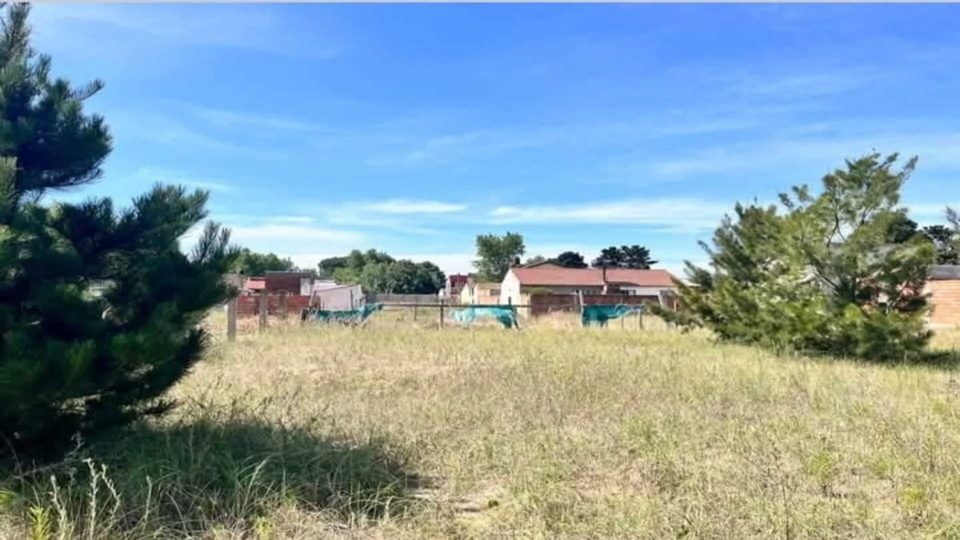 CALLE N 62 – foto 4